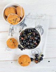 Black currant with small muffins on the white background