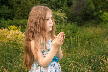 little girl in a flower field