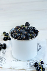 Black currant with leaves on the white background