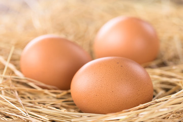 Fresh raw brown eggs on hay (Selective Focus, Focus on the front of the first egg)
