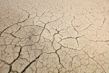 Arid cracked land