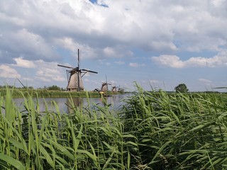 Mühlen in Holland