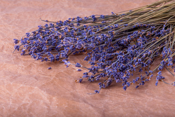 The dried-up lavender flowers on a table © Elena Belyaeva