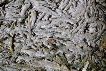 Frozen small fish