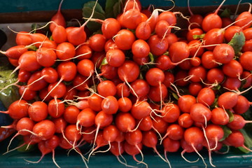 bright red radish bunches on display at the market
