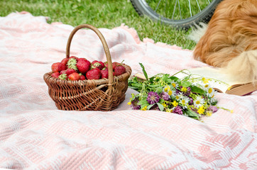 Fototapeta na wymiar picnic in nature on the grass, with flowers and strawberries in a basket.