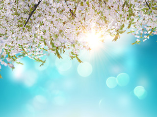 3D Cherry blossom leaves on a blue sky background