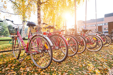 Bicycle parking in the autumn