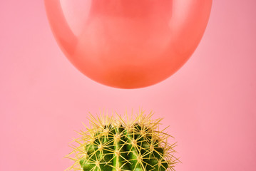 Red balloon fall on cactus needle on a pink background. Danger or protection concept