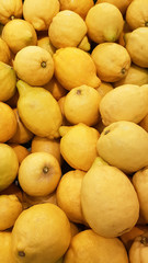 bright display of fresh fruit in the market. group of lemons, healthy and sweet, suitable for the whole family,