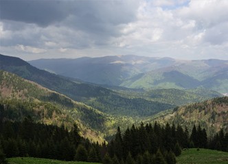 landscape mountains covered with forest
