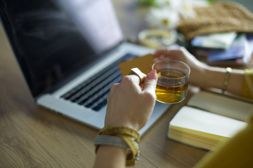 Young woman holding credit card and using laptop computer. Online shopping concept