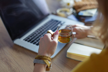 Young woman holding credit card and using laptop computer. Online shopping concept