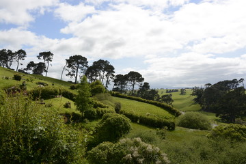 Das Auenland