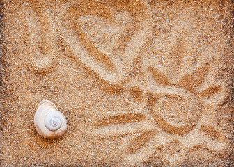 Sea shells with sand as background -