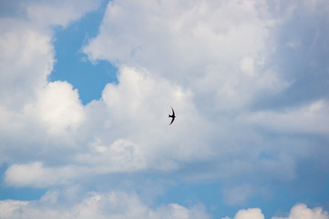 beautiful background bright blue sky with white clouds