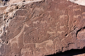6000 year old stone age rock carvings showing a map of the location of animals in relation to water holes. Twyfelfontein, Namibia