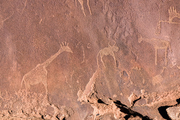 6000 year old stone age rock carvings showing a map of the location of animals in relation to water...