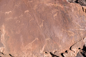 6000 year old stone age rock carvings showing a map of the location of animals in relation to water holes. Twyfelfontein, Namibia