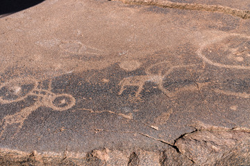 6000 year old stone age rock carvings showing a map of the location of animals in relation to water...