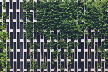Vertical gardening on a metal chrome grid