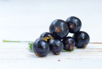Black currant with leaves on the white background