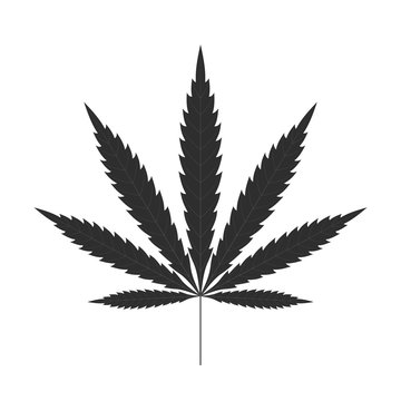 Cannabis leaf icon. Black silhouette indica sativa isolated white background. Herbal medicine herb plant. Natural weed hemp. Addiction smoke drug Illegal narcotic marijuana design. Vector illustration