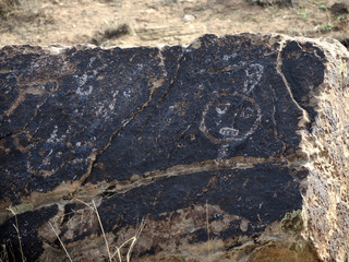 The petro glyphs or etchings on rocks by people who lived in the area. The etchings made using a hard object on the rock surface layered with a coating of dust or the desert patina.