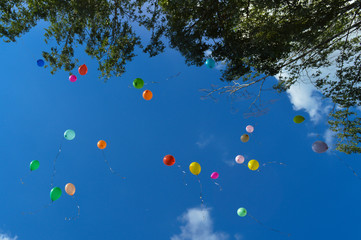 Balloons on blue summer sky 