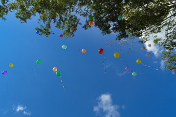 Balloons on blue summer sky 