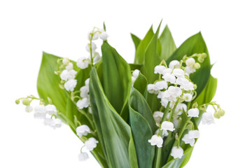 Bouquet of white lilies of the valley isolated on white.