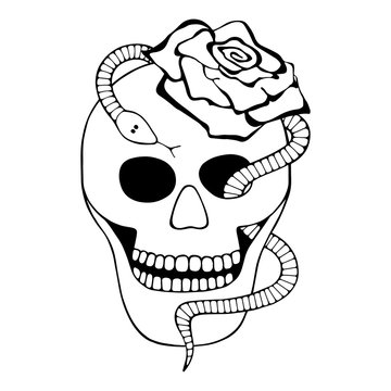 Vector black and white hand drawn illustration, skull with snake, rose tooth, silhouette face of human Print horror for t shirt Mexican style, day of the dead Mexico, halloween Sketch, tattoo drawing.
