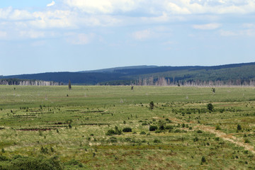 Les Fagnes de Wallonie à perte de vue