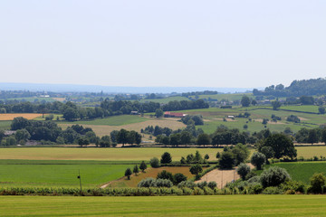 Campagne des Pays-Bas