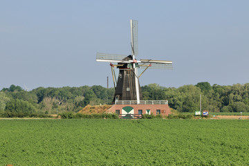 Windm&uuml;hle der graue B&auml;r in Limburg bei Roermond