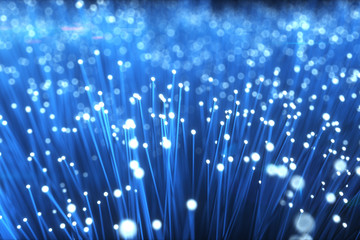 Obraz na płótnie Canvas Millions of fiber optic cables transmit signal in a chaotic motion. Red and blue cables 3d illustration