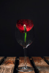 glass with water and flower