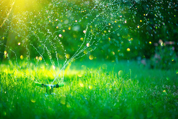Tuin, Gras Water geven. Slimme tuin geactiveerd met volledig automatisch sprinklerirrigatiesysteem dat werkt in een groen park, gazon, bloemen en bomen water geeft. sproeikop water geven. Tuinieren concept