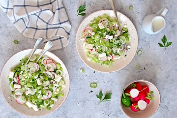Healthy fresh salad with greenspring onion, light cheese served with greek yogurt. Top view with copy space.