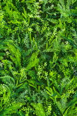 Artificial green plastic leaves wall, abstract background.