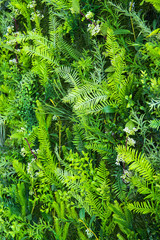 Artificial green plastic leaves wall, abstract background.