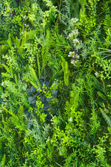 Artificial green plastic leaves wall, abstract background.