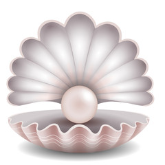 pink pearl in the shell illustration - obrazy, fototapety, plakaty