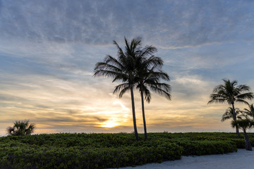 Captiva Sunset