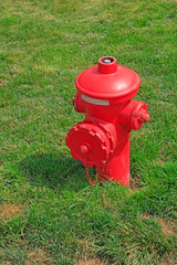 red fire hydrant in the green meadow
