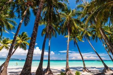 Palmbomen op een prachtig, rustig tropisch zandstrand op een tropisch eiland (White Beach, Boracay)