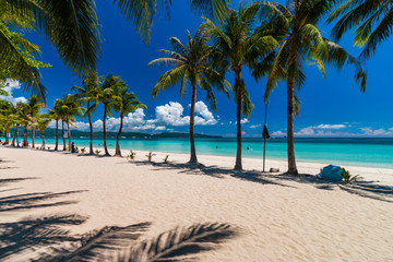 Palmbomen op een prachtig, rustig tropisch zandstrand op een tropisch eiland (White Beach, Boracay)