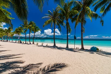 Fotobehang Boracay Wit Strand Palmbomen op een prachtig, rustig tropisch zandstrand op een tropisch eiland (White Beach, Boracay)