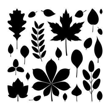 Black leaves in flat style, icons set