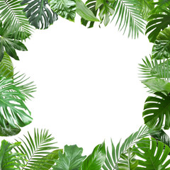 Frame made of fresh green tropical leaves on white background. Space for design